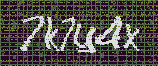 CAPTCHA_picture