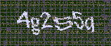 CAPTCHA_picture