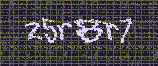 CAPTCHA_picture